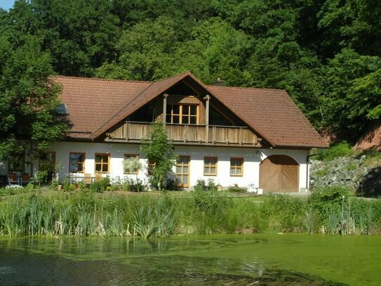 Provisionsfrei! - Mögliche Option für Gastronomie, Ferienwohnanlage, etc. in idyllischer Alleinlage bei Luhe-Wildenau z…