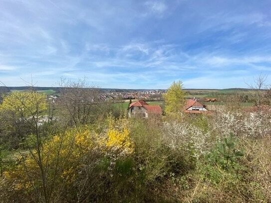 Großzügiges Baugrundstück in traumhafter Lage bei Bamberg