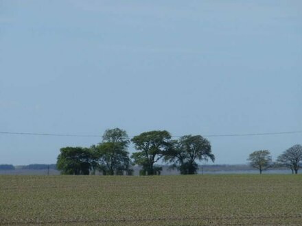 Wald und Ackerland an der Ostsee, in Mecklenburg-Vorpommern hinter dem Darß, vor Rügen