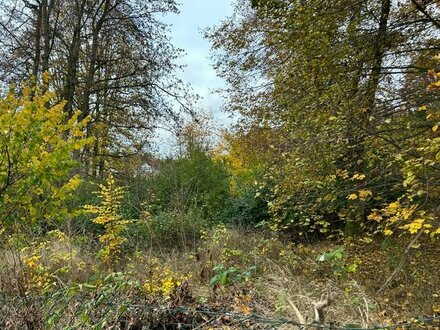 Baugrundstück in zentrumsnaher Lage mit herrlichem Baumbestand!