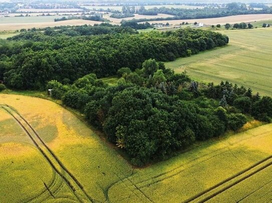 0,7 ha Grundstück - ehemalige Deponie