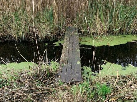 Das gehört Ihnen ganz allein. Natur pur! Weit ab von Lärm und Schmutz.