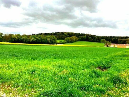 landwirtschaftliches Grundstück mit Perspektive in Berching-Erasbach