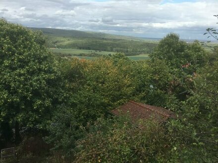 Bauland mit unverbaubarem Blick in Dannenfels