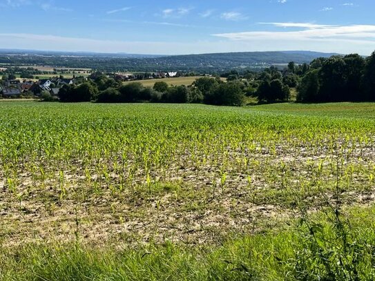 5,85 ha Grundbesitz davon ca. 4,53 ha Ackerland an der Landesgrenze NRW / NI