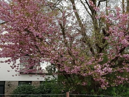 Naturnahes freistehendes Einfamilienhaus mit sep. Einliegerwohnung und einzigartigem Grundstück