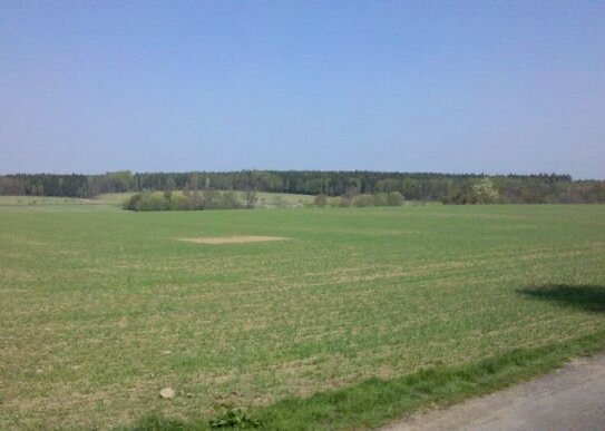 Dieser Blick - WAHNSINN! Balkon ins grüne und Bus in 200m