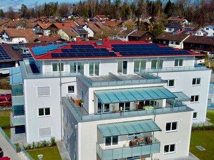 Hochwertige zwei Zimmer Erdgeschoss Wohnung Neubau - Traunstein Wolkersdorf