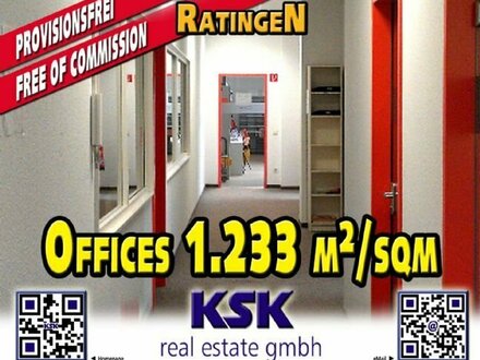 Büros mit Lager, separater Andienung ~1.233 m² / sqm Offices with warehouse, separate delivery