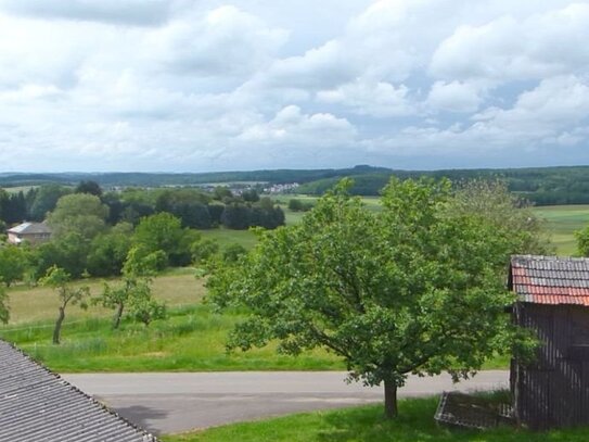 Hofreite mit viel Freiraum in Grünberg-Stangenrod zu verkaufen.