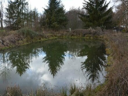 Verwildertes Teichgrundstück in Klennow