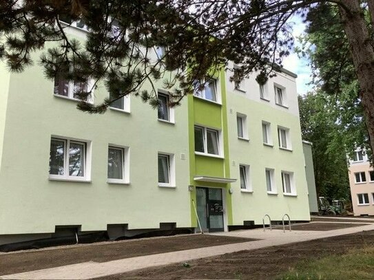 Bezugsfertige und helle 3 Zimmer-Wohnung in Baumheide mit Balkon / Freifinanziert
