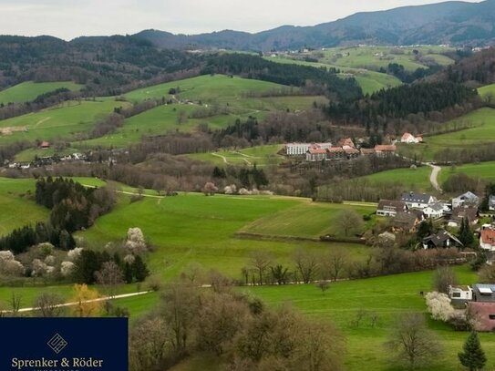 Entwicklungsgrundstück für großzügiges Ein-/Zweifamilienhaus