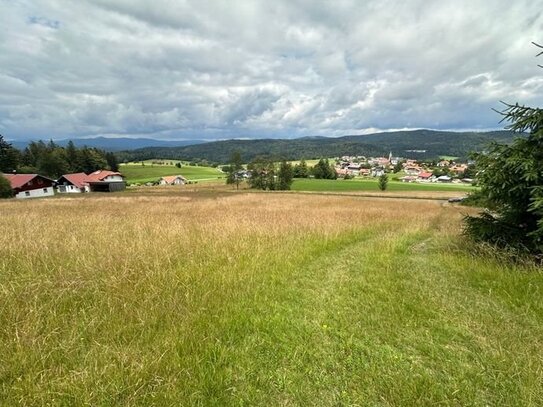 Baugrundstück im bayerischen Wald Gemeinde Hinterschmiding/Herzogsreut