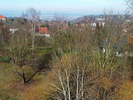 Wohnen in Toplage von Landshut - am Hofberg mit Fernblick und viel Grün