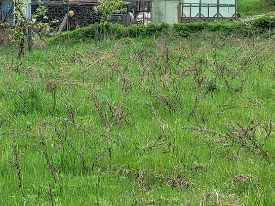 Wald- und Wiesengrundstück zu verkaufen