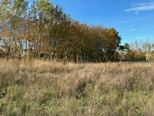 Alte Gärtnerei - 2 Grundstücke nebeneinander - auch einzeln verkaufbar