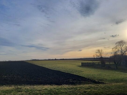 Grundstück mit weitschweifenden Südblick in Liebstedt