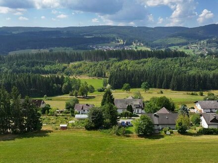 Feldbergblick - Bauland in bester Schwarzwaldhöhenlage - Sofortverkauf !