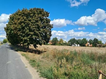 Wohnen in Dame/Mark "Südlicher Scheunenfeldweg / Breite Wiesenweg"