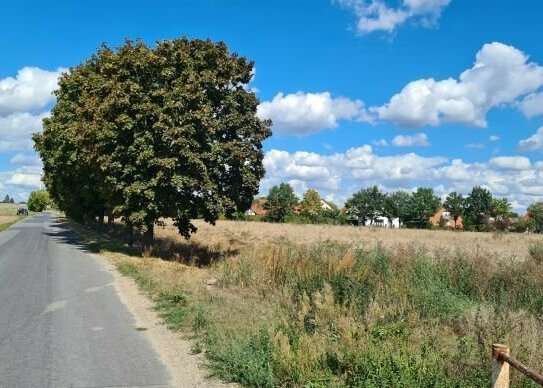 Wohnen in Dame/Mark "Südlicher Scheunenfeldweg / Breite Wiesenweg"