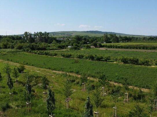 Baugrundstück mit traumhaftem Blick in idyllischer, ruhiger Feldrandlage von Gau-Algesheim