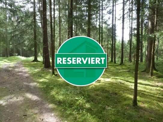 Optimaler Wald für Privathaushalte in Pilsach - Litzlohe