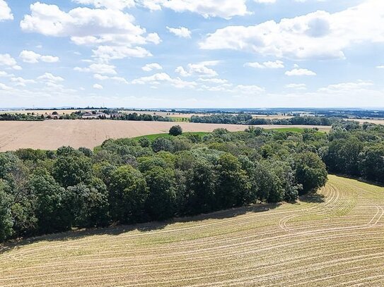 Waldfläche