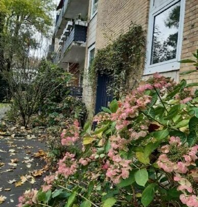 ruhig gelegene, sehr helle 3-Zimmer-Wohnung in Bahrenfeld zu vermieten