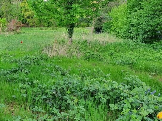 Wunderschönes Baugrundstück in Bestlage Dresden - Loschwitz