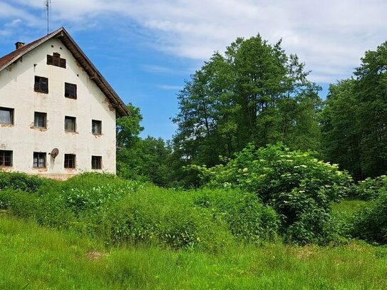 Sanierungsbedürftige Hofstelle in Schwarzach mit viel Grund arrondiert