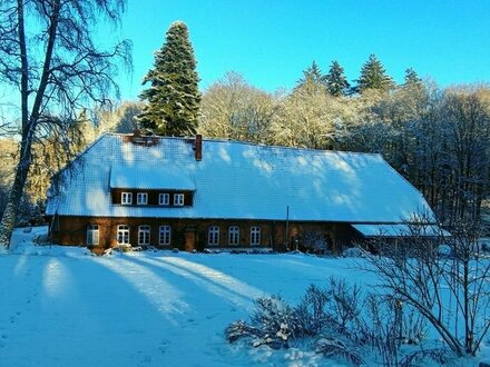 Ein verträumtes Idyll im Herzen der Natur! Forsthaus in Alleinlage