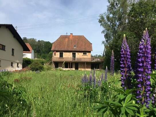 Kleinod im Pfälzer Wald