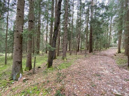 Waldfläche mit 9.570 m² nähe Haberskirchen