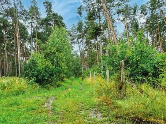 2 unbebaute Grundstücke - angrenzend an das Naherholungsgebiet Plattensee