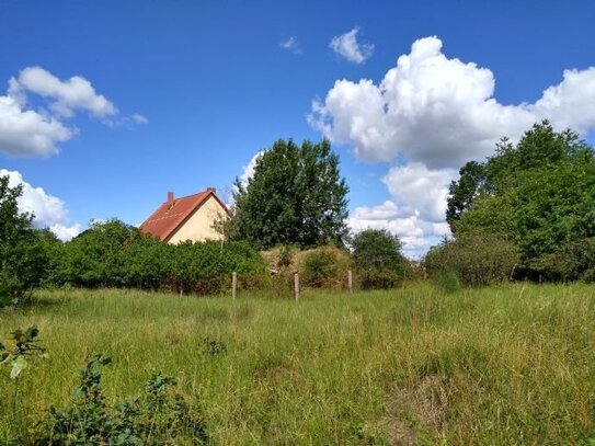 Kapitalanlage: Großes Baugrundstück zum Verkauf in Mecklenburg-Vorpommern zum Verkauf