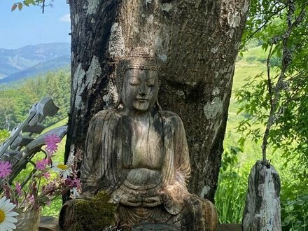 Buddhas Zuhause mit Belchen-Blick: 2-Familienhaus mit Umschwung und Tiny-House in Elbenschwand