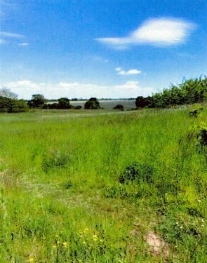 Bauträgerfreie Baugrundstücke in attraktiver Waldrandlage in Klein Kreutz