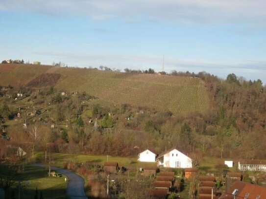 Selten zum Verkauf stehende Rarität in fantastischer Lage (Reiheneckhaus, Terrasse gen Süden in Aussichtslage, Südgarte…