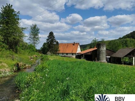 Historische Hofstelle mit arrondierten land-, forst- und teichwirtschaftlichen Flächen im LKR Nürnberger Land