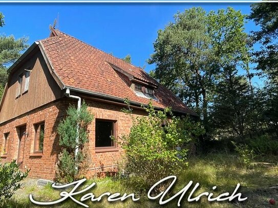 Einfamilienhaus auf großzügigem Grundstück mit altem Baumbestand wartet auf eine Wellnessbehandlung...