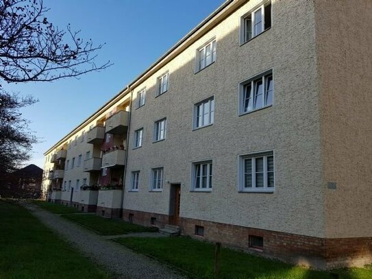 schöne, helle 2-Raumwohnung in der Curiesiedlung, Neue Neustadt