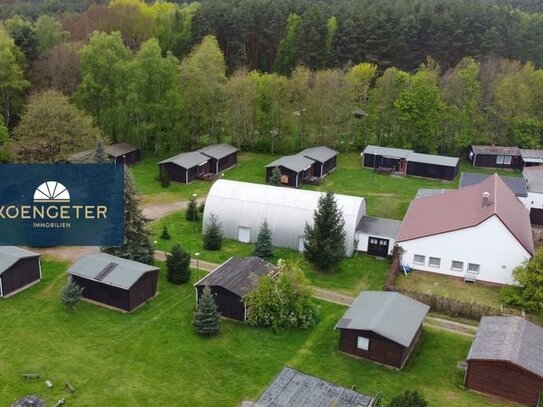 NEU: Weitläufiges Wald- und Wiesen Areal am Bergwitzsee