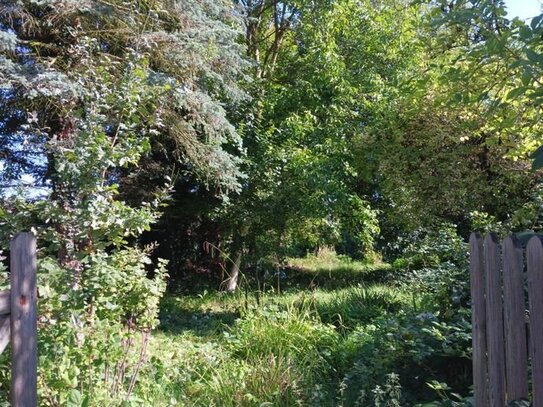 schönes Gartengrundstück Mitten in Bonn Bad Godesberg Muffendorf