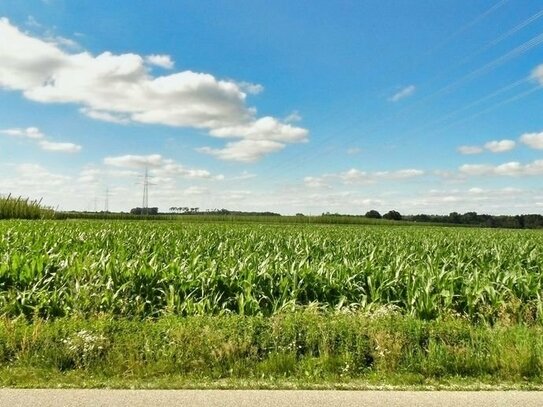 Ackerfläche in Geisenfeld - Engelbrechtsmünster