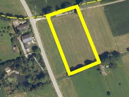 Landwirtschaftliche Wiese 5690 m² in Flossing