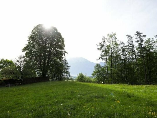 Wunderschöner Kaiser Blick, Wald und Ruhe ...