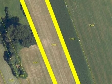 Landwirtschaftliche Wiese 8010 m² in Flossing