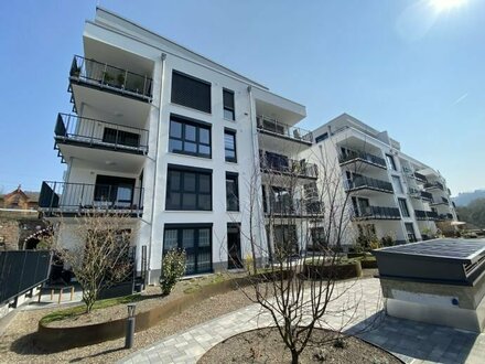 Lichdurchflutete Wohnung mit Moselblick zu vermieten