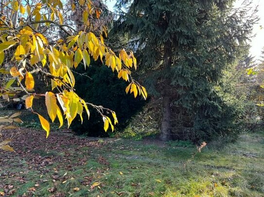 Teilgrundstück für Ihre DHH direkt am Kaulsdorfer See